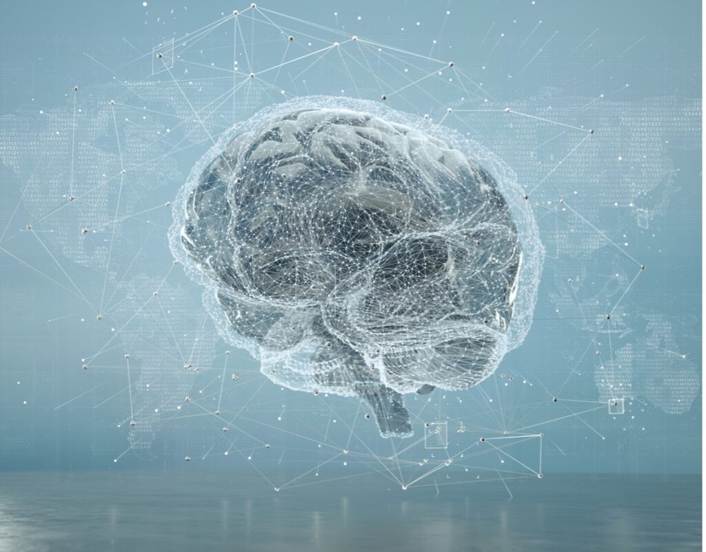 brain with computer connections