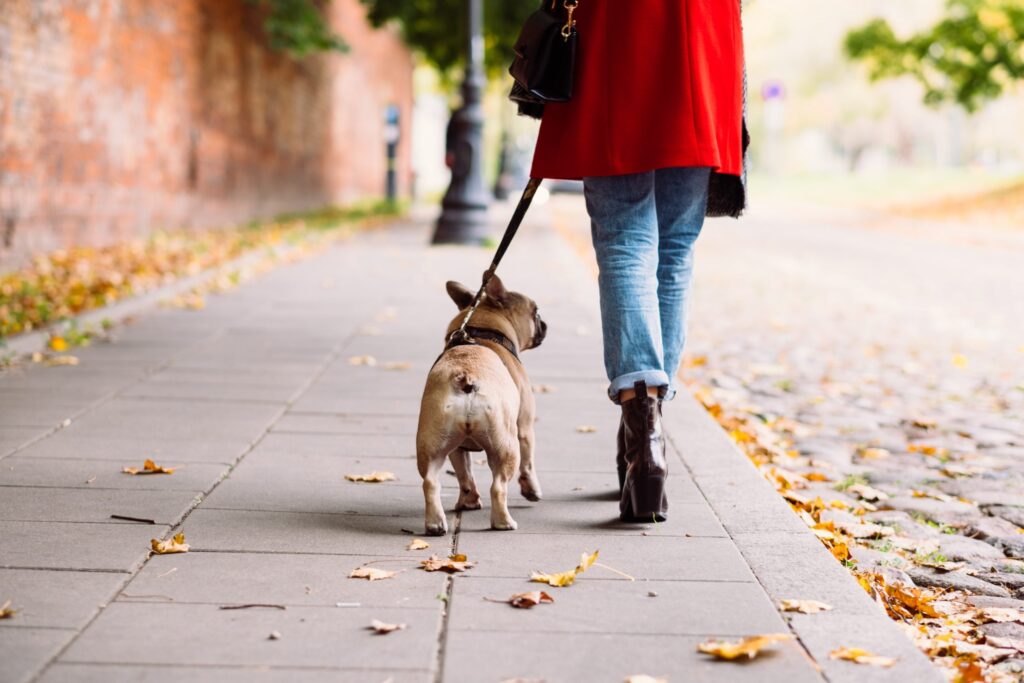 women walking her dog