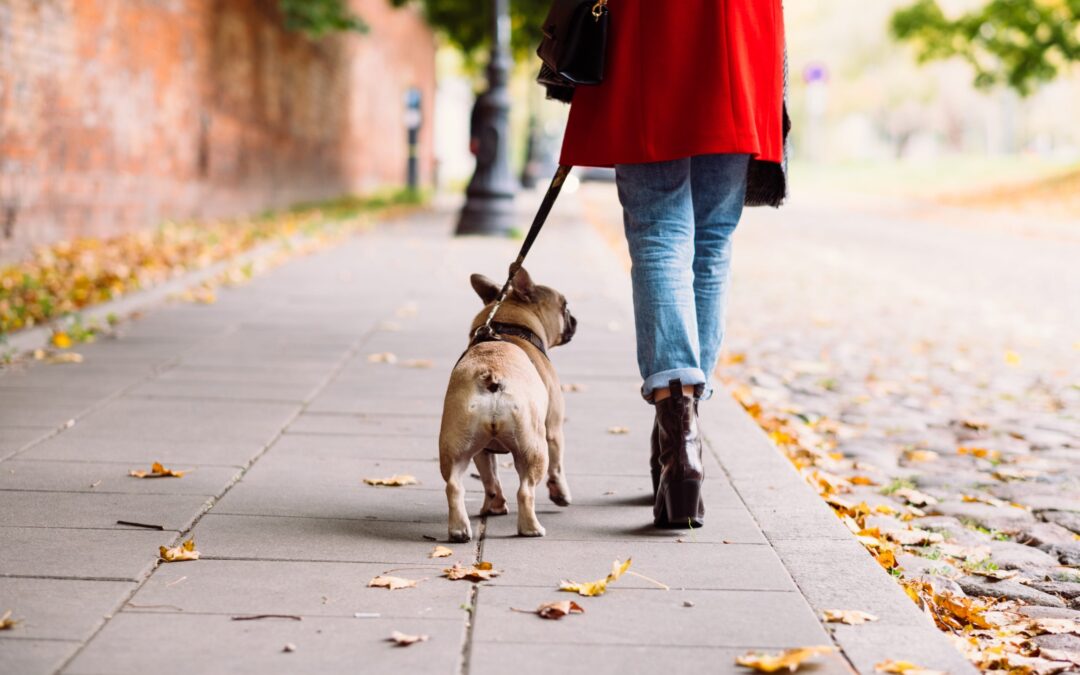 women walking her dog